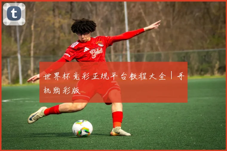世界杯竞彩正规平台教程大全｜手机购彩版