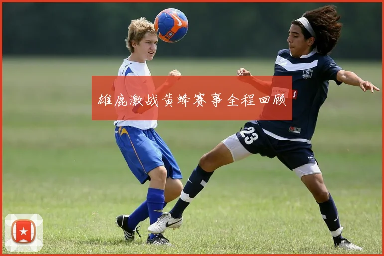 雄鹿激战黄蜂赛事全程回顾
