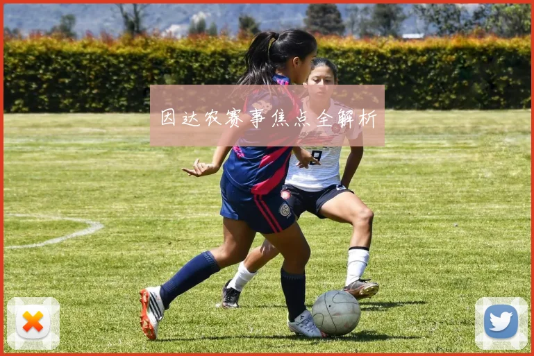 因达农赛事焦点全解析