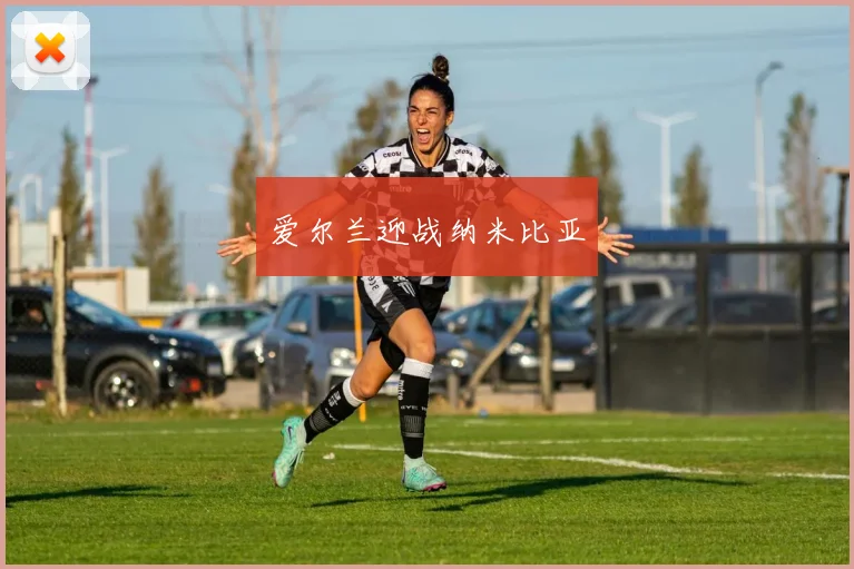 爱尔兰迎战纳米比亚