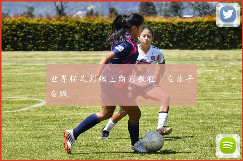 世界杯足彩线上购彩教程｜合法平台版