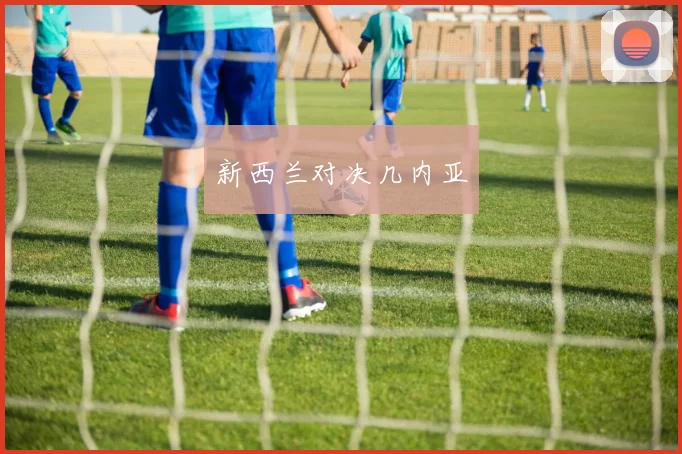 新西兰对决几内亚