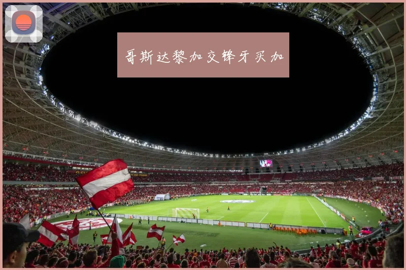 哥斯达黎加交锋牙买加