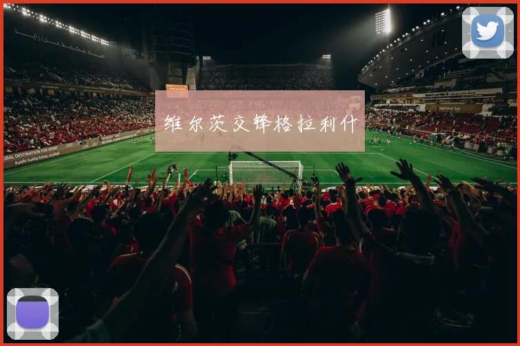 维尔茨交锋格拉利什