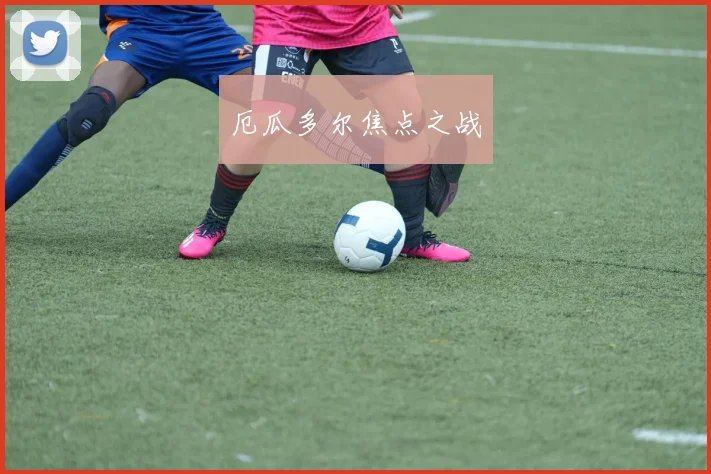 厄瓜多尔焦点之战