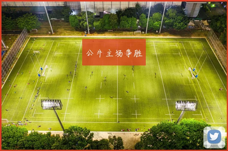 公牛主场争胜