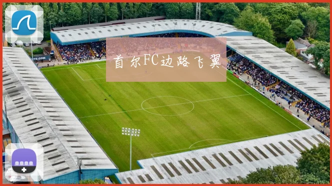 首尔FC边路飞翼