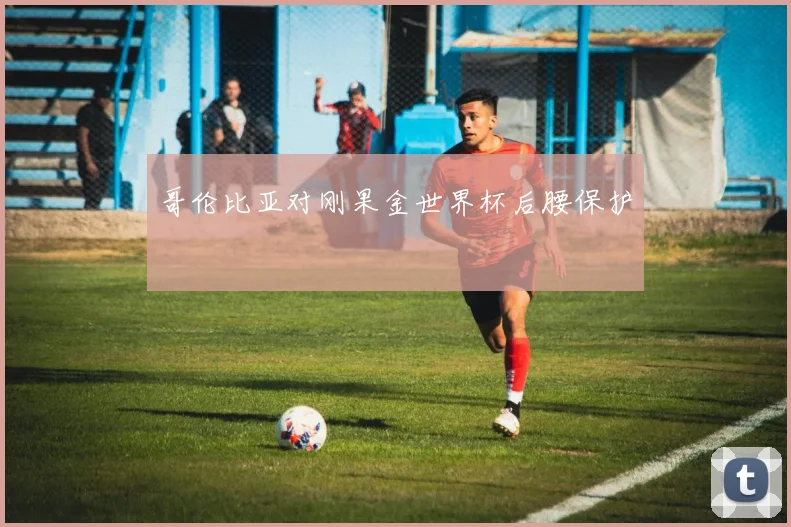 哥伦比亚对刚果金世界杯后腰保护