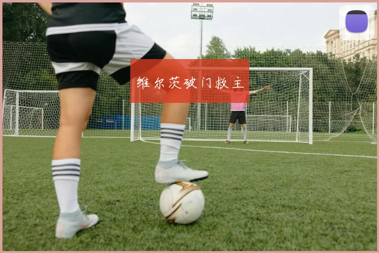维尔茨破门救主