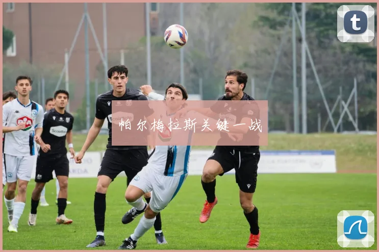 帕尔梅拉斯关键一战
