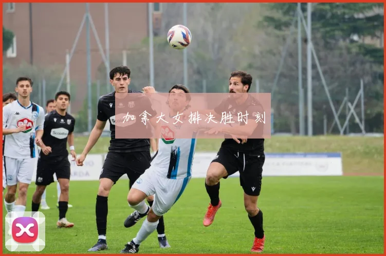 加拿大女排决胜时刻