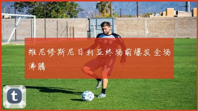 维尼修斯尼日利亚终场前爆发全场沸腾