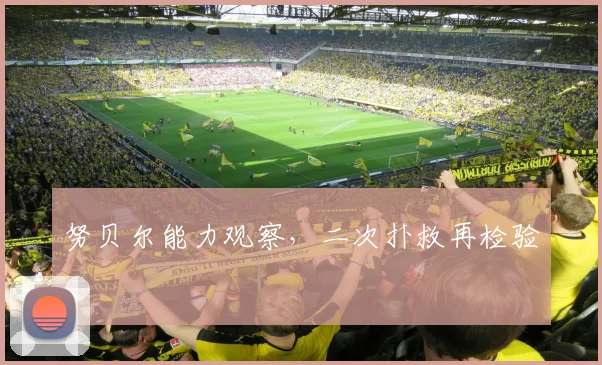 努贝尔能力观察,二次扑救再检验